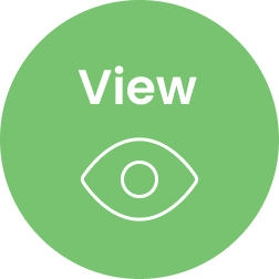 Custom Cursor