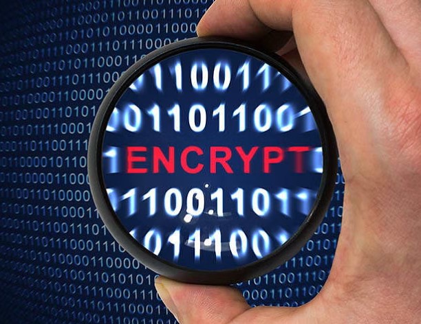 Data Encryption Techniques