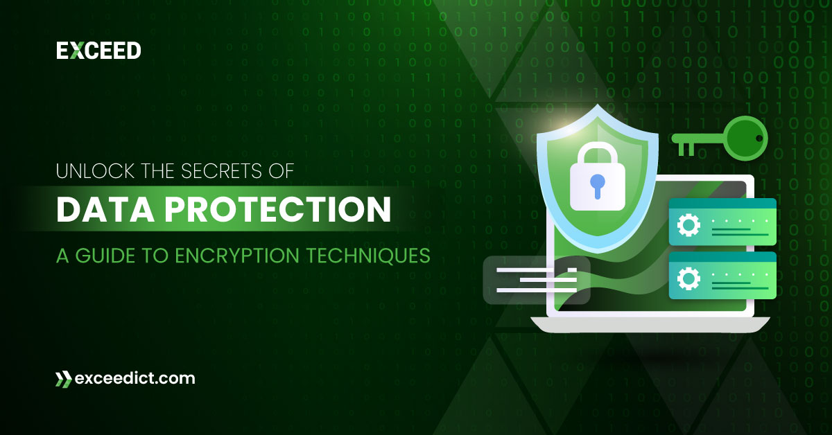 Unlock the Secrets of Data Protection: A Guide to Data Encryption Techniques