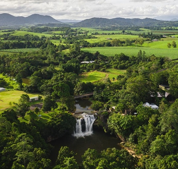 Improving community experience and environmental outcomes of Cassowary Coast natural beauty using Smart bins